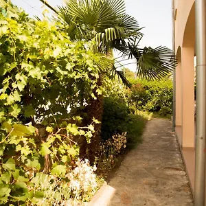 Nonno Novigrad Istria