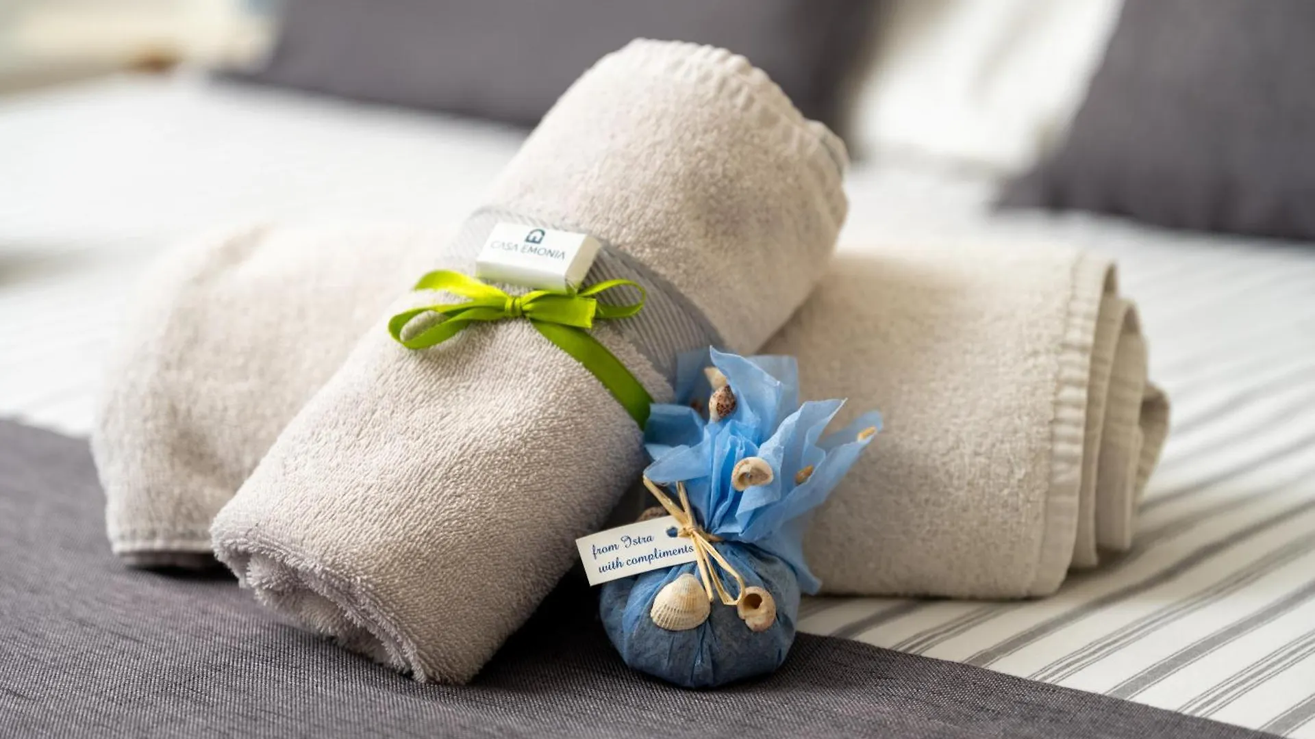 Apartments Casa Emonia Novigrad Istria Croacia